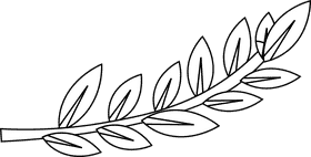 Olive branch black and white clipart