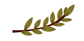 Olive branch clipart