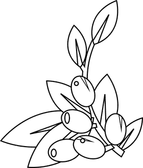 Olive branch olives black and white clipart