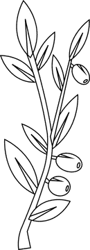 Olive branch olives long black and white clipart