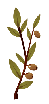 Olive branch olives long clipart