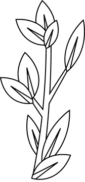 Olive branch short black and white clipart