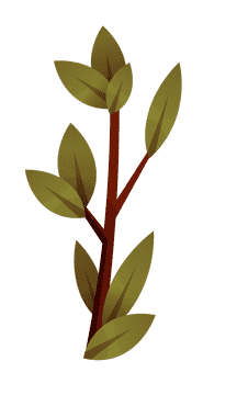 Olive branch short clipart