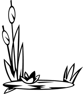 Pond reed black and white clipart
