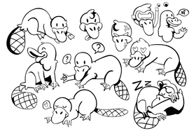 Platypus black and white vector