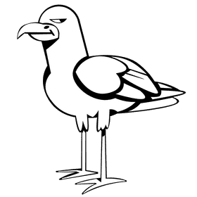 Seagull bird black and white clipart