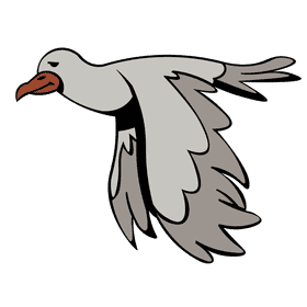 Seagull flying clipart