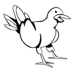 Seagull black and white clipart