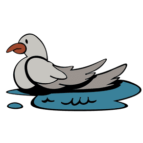Seagull water clipart