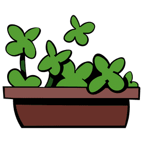 Shamrock clover pot clipart