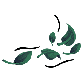 Wind leaves clipart