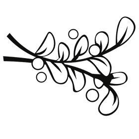 Mistletoe branches black and white clipart
