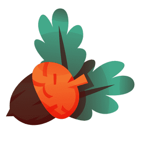 Woodland acorn clipart