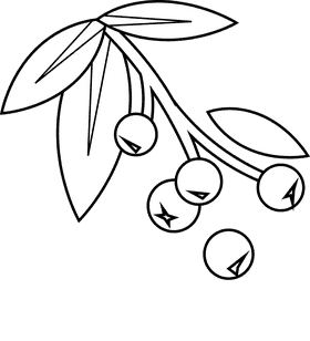 Woodland berries black and white clipart
