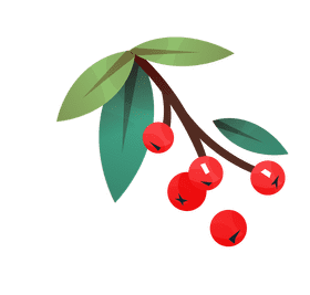Woodland berries clipart