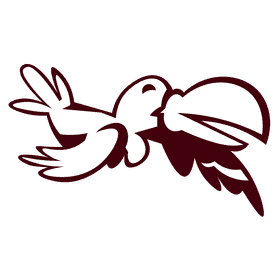 Zoo animal tucan black and white clipart