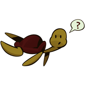 Sea turtle question clipart