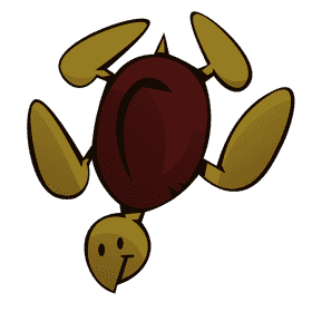 Sea turtle top view clipart