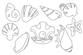Seashell black and white vector