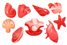 Seashell vector