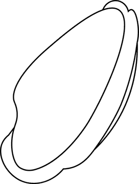 Seashell closed black and white clipart