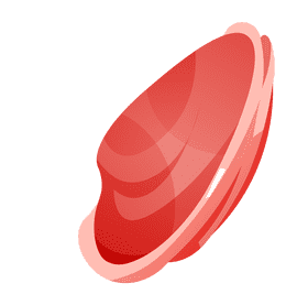 Seashell closed clipart