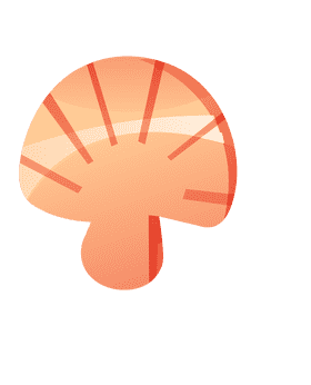 Seashell one clipart