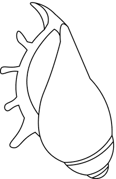 Seashell spikes black and white clipart