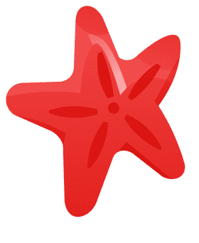 Seashell star clipart