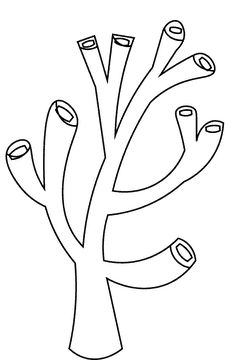 Sea weed tree black and white clipart