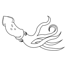 Squid long black and white clipart