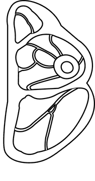 Steak meat black and white clipart