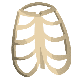 Bones chest clipart