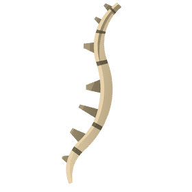 Bones spine clipart
