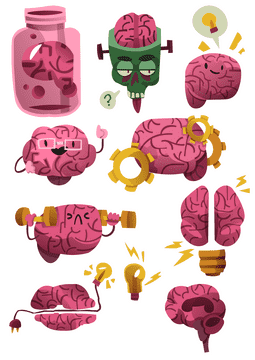 Brain vector