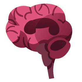Brain cut clipart