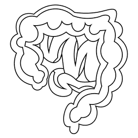 Intestines cut black and white clipart