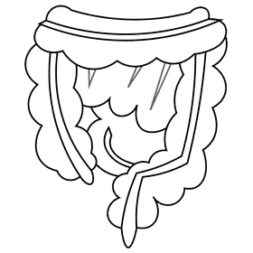 Intestines black and white clipart