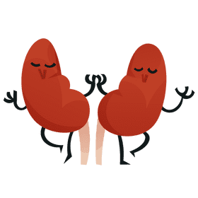 Kidneys couple clipart