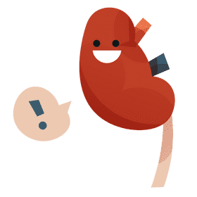 Kidneys happy clipart