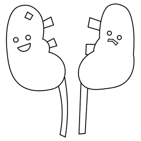 Kidneys black and white clipart