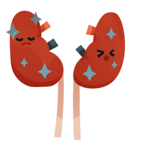 Kidneys stones clipart