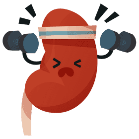 Kidneys strong clipart