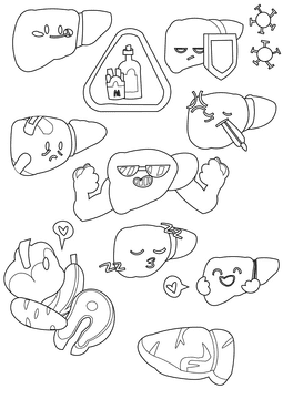 Liver black and white vector