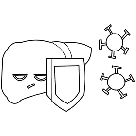Liver protection black and white clipart