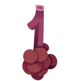 Lungs alveoli clipart