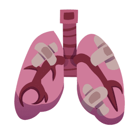 Lungs damaged clipart