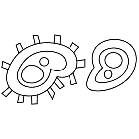 Nose bacteria black and white clipart