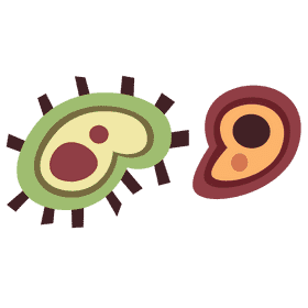 Nose bacteria clipart