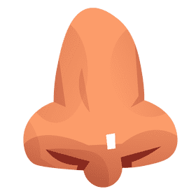 Nose frontview clipart